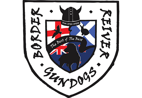 Border Reiver Gundogs