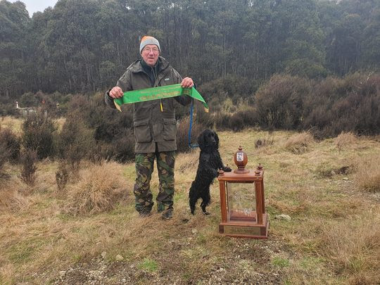 Border Reiver Gundogs